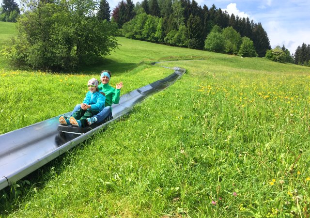 Sommerrodelbahn